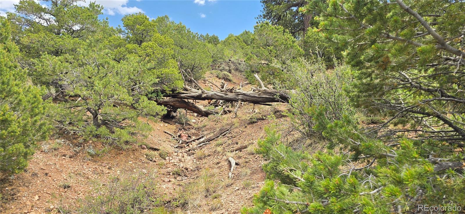 Lot 4401 Melcarth Road Fort Garland CO 81133