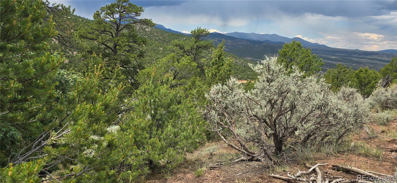 Lot 4401 Melcarth Road Fort Garland CO 81133