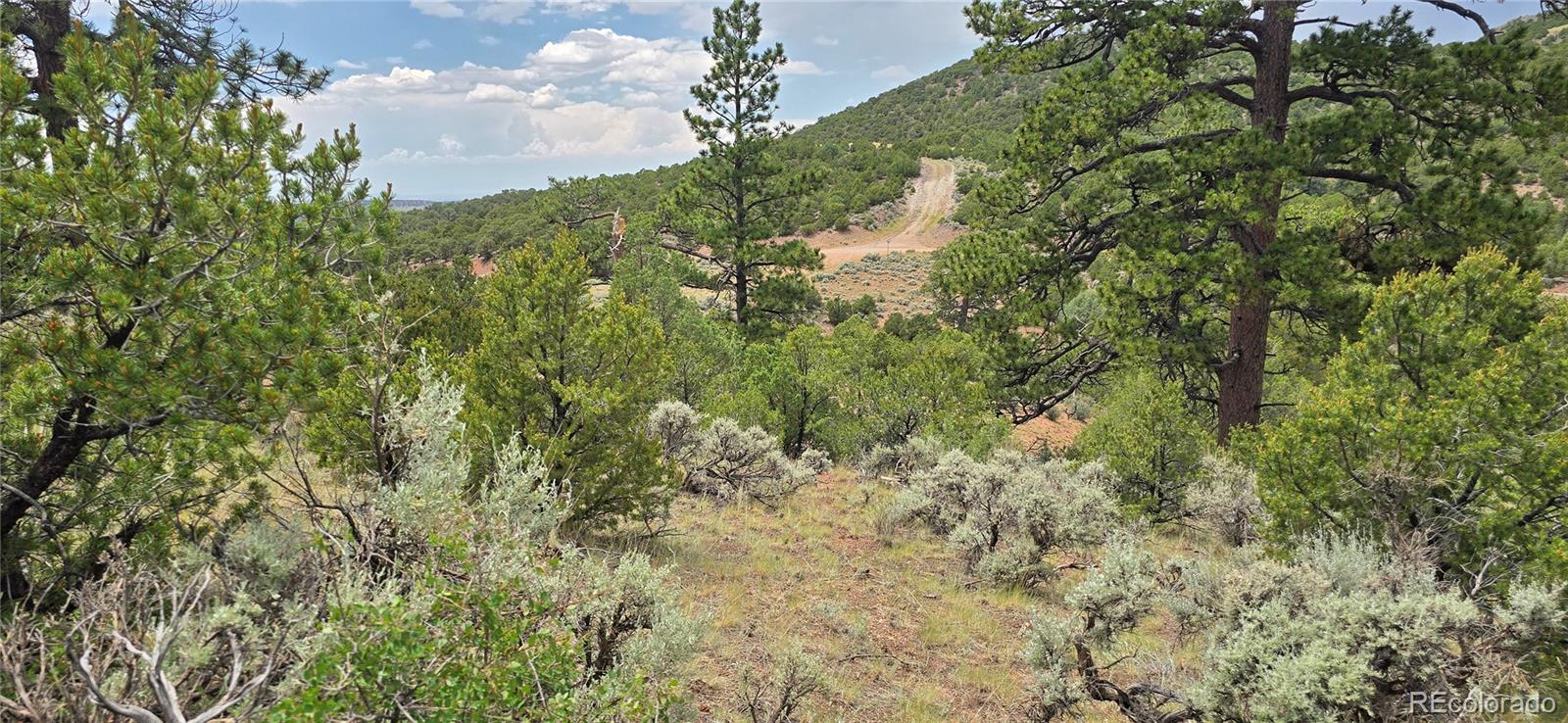 Lot 4401 Melcarth Road Fort Garland CO 81133