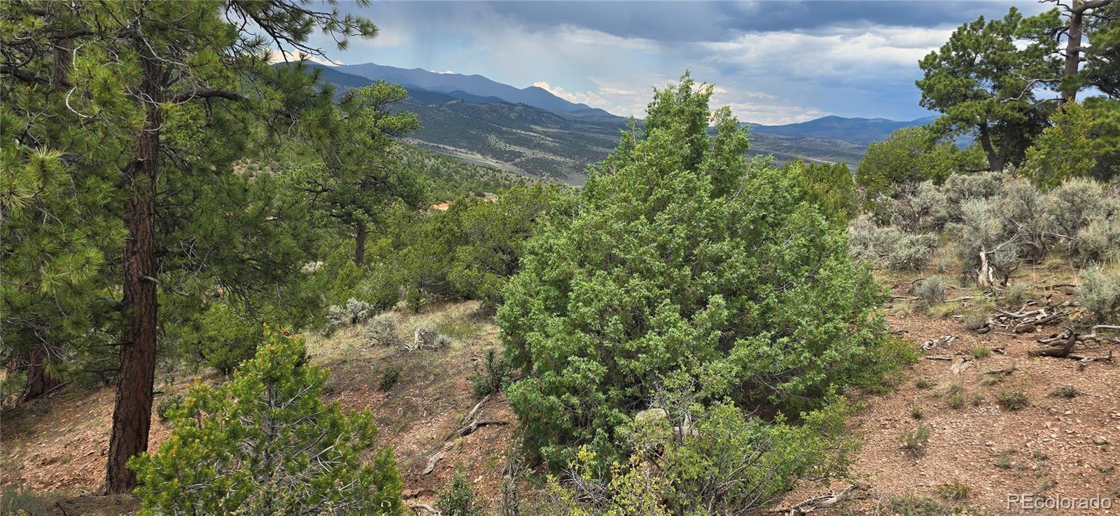 Lot 4401 Melcarth Road Fort Garland CO 81133