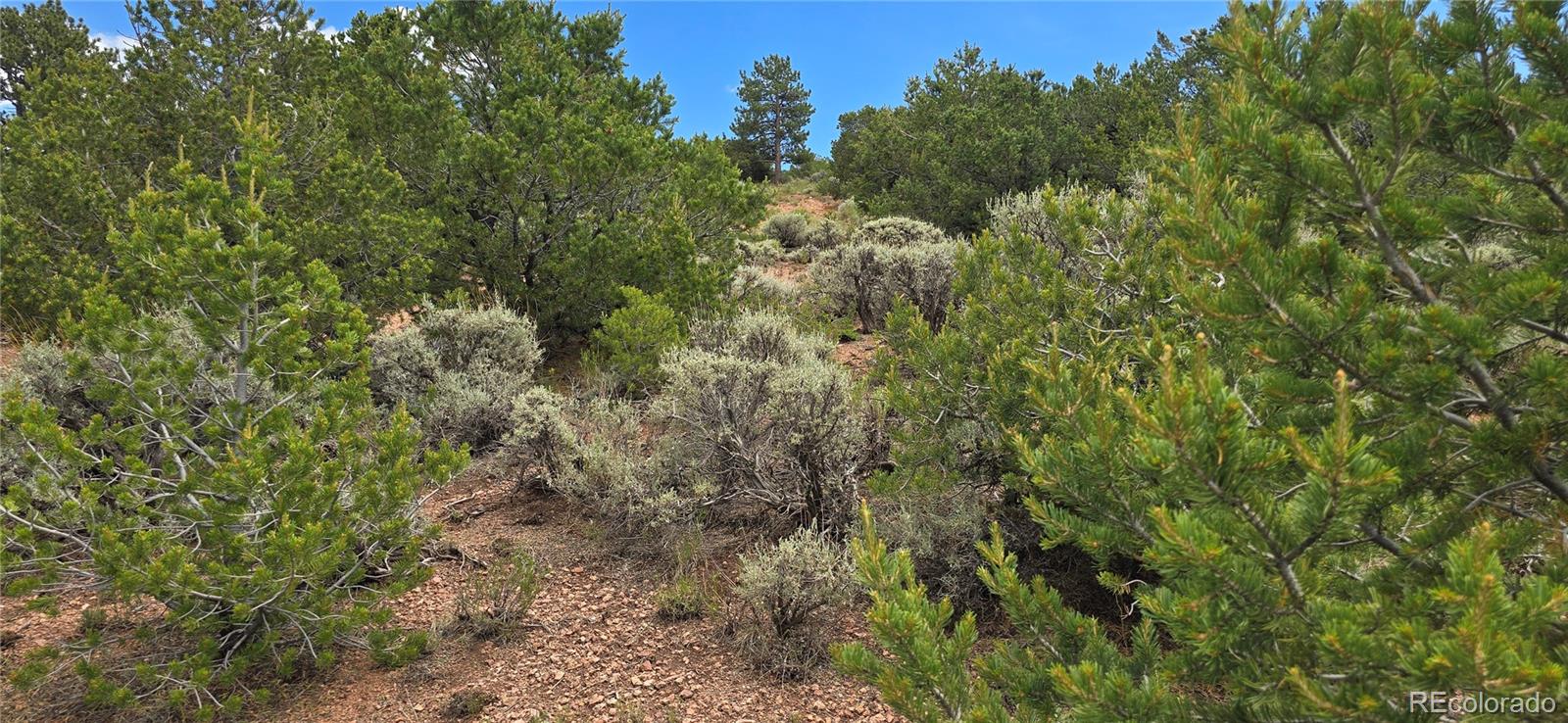 Lot 4401 Melcarth Road Fort Garland CO 81133