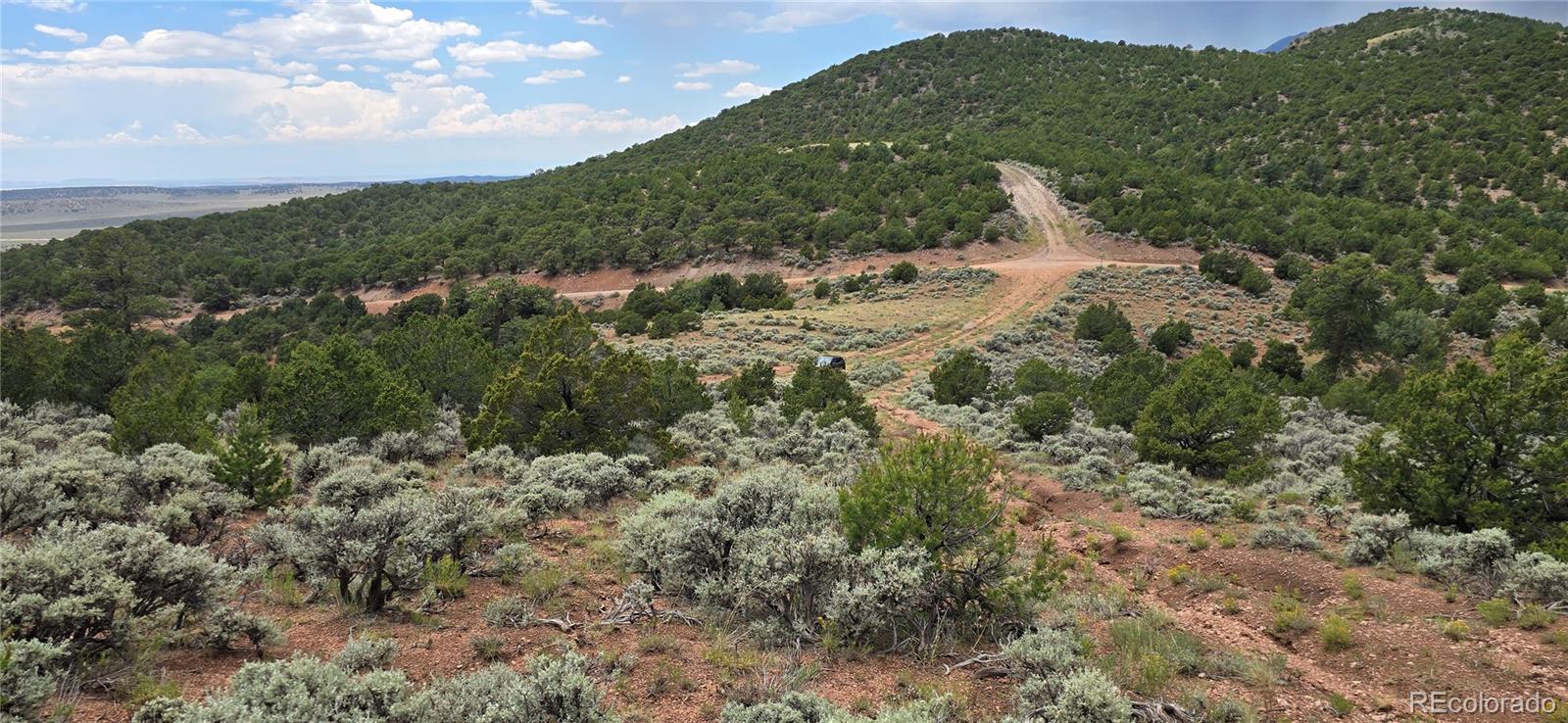 Lot 4401 Melcarth Road Fort Garland CO 81133