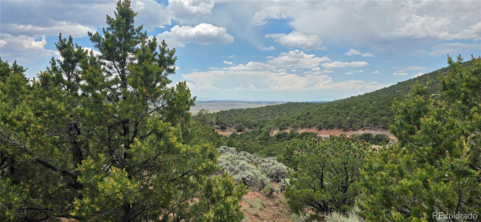 Lot 4401 Melcarth Road Fort Garland CO 81133