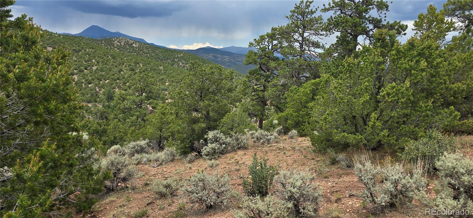 Lot 4401 Melcarth Road Fort Garland CO 81133