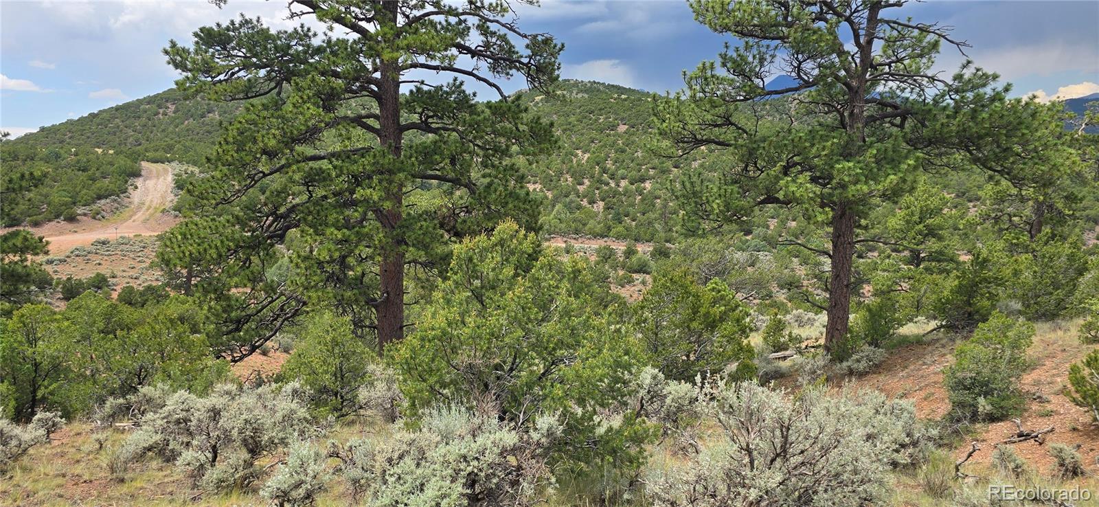 Lot 4401 Melcarth Road Fort Garland CO 81133