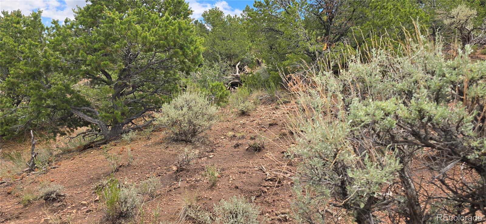 Lot 4401 Melcarth Road Fort Garland CO 81133