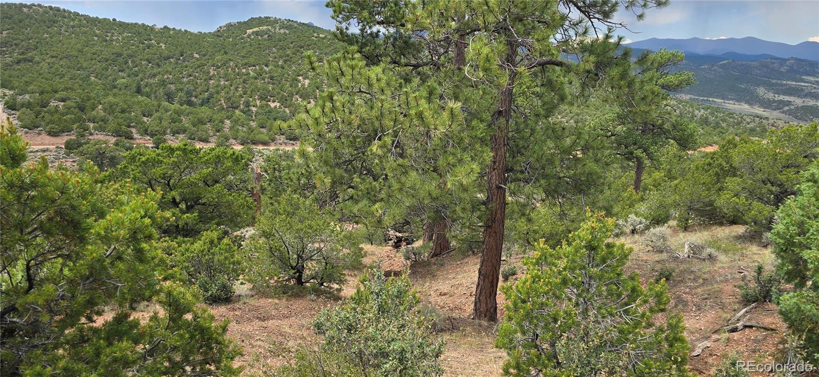 Lot 4401 Melcarth Road Fort Garland CO 81133