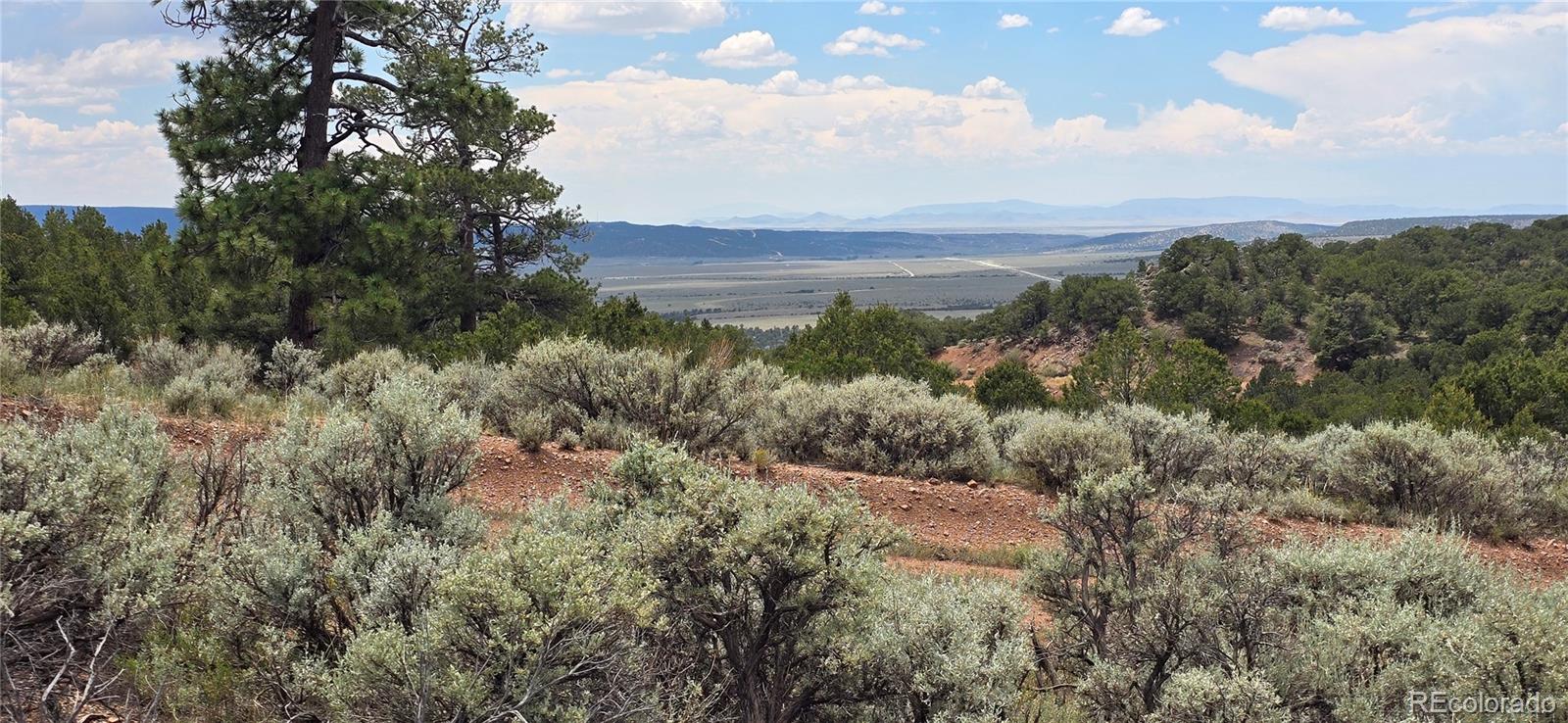 Lot 4401 Melcarth Road Fort Garland CO 81133