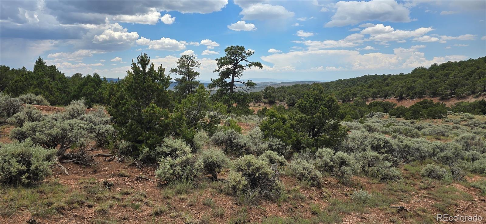 Lot 4401 Melcarth Road Fort Garland CO 81133