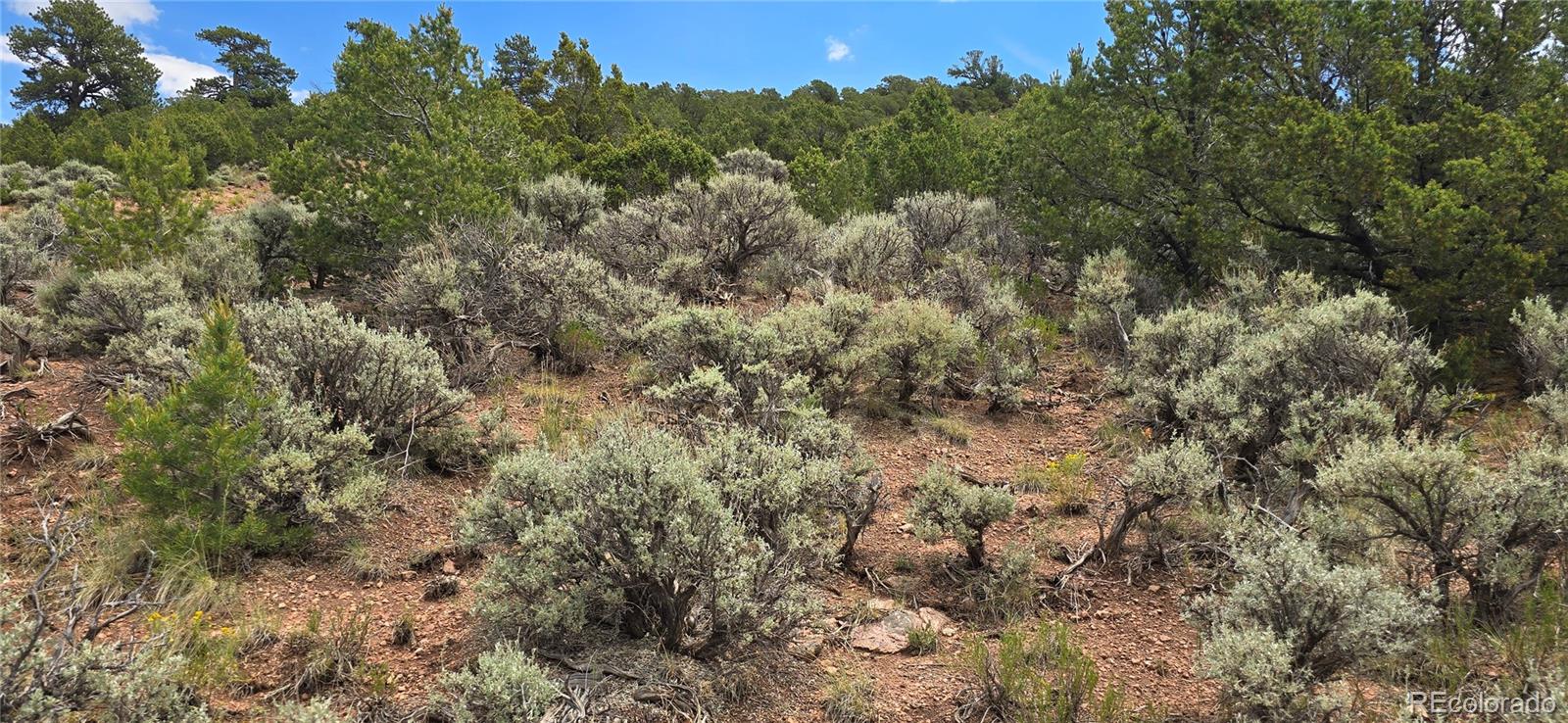 Lot 4401 Melcarth Road Fort Garland CO 81133