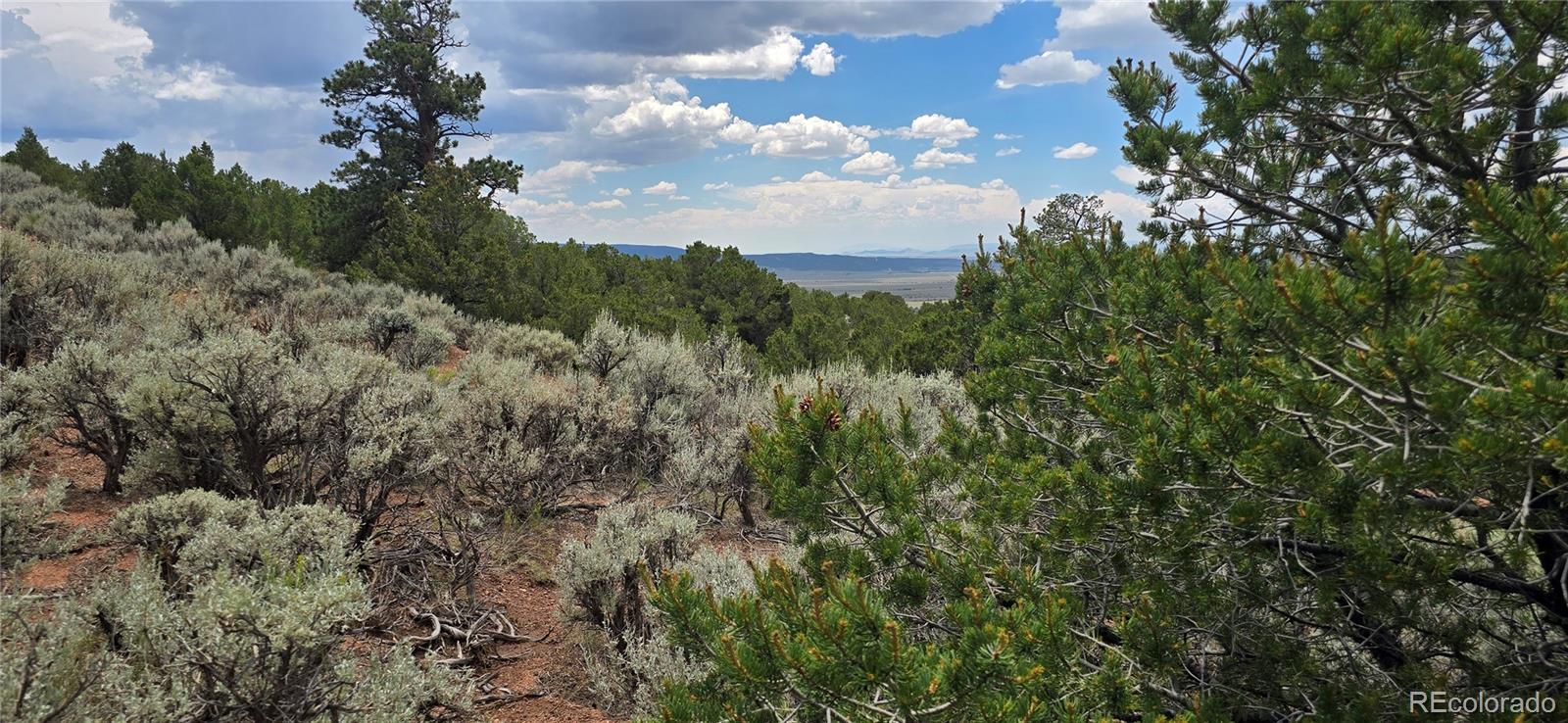 Lot 4401 Melcarth Road Fort Garland CO 81133