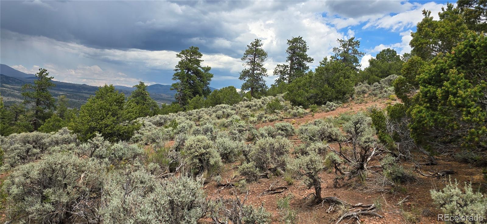Lot 4401 Melcarth Road Fort Garland CO 81133