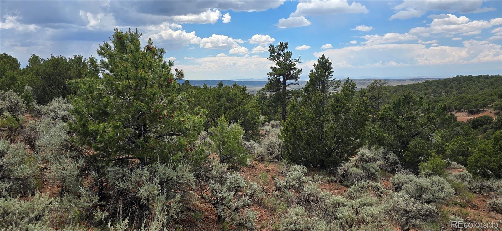 Lot 4401 Melcarth Road Fort Garland CO 81133