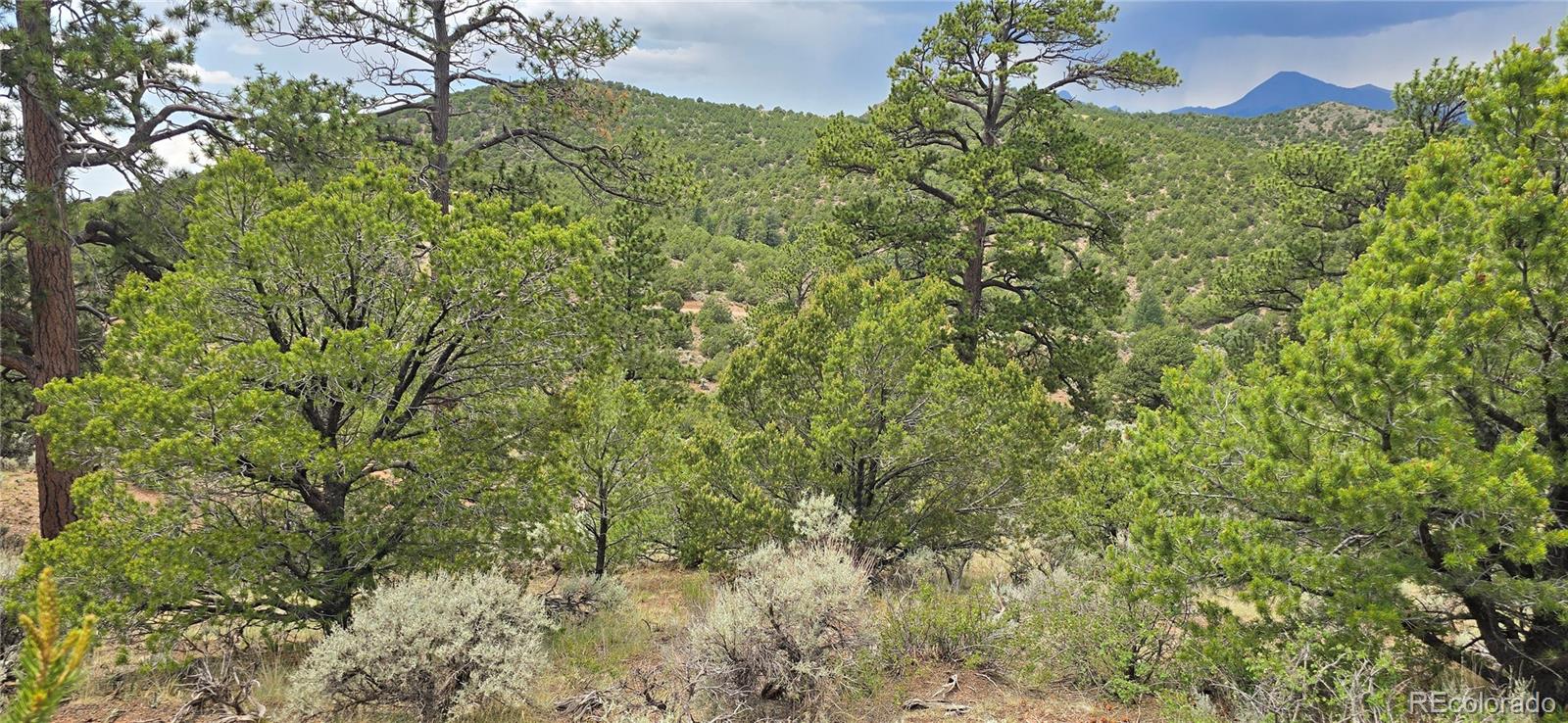 Lot 4401 Melcarth Road Fort Garland CO 81133