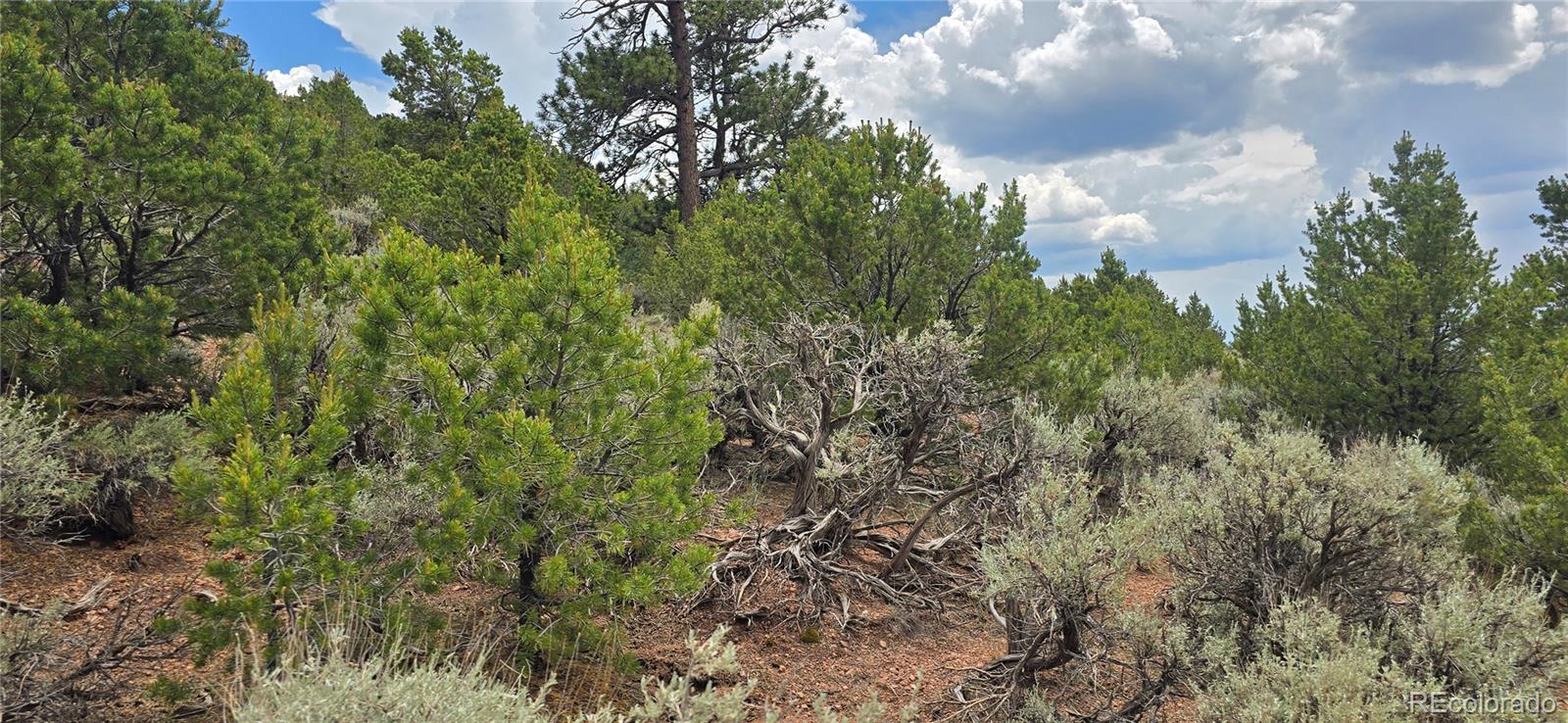 Lot 4401 Melcarth Road Fort Garland CO 81133