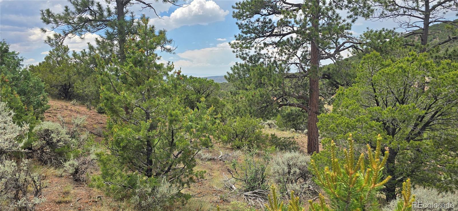 Lot 4401 Melcarth Road Fort Garland CO 81133