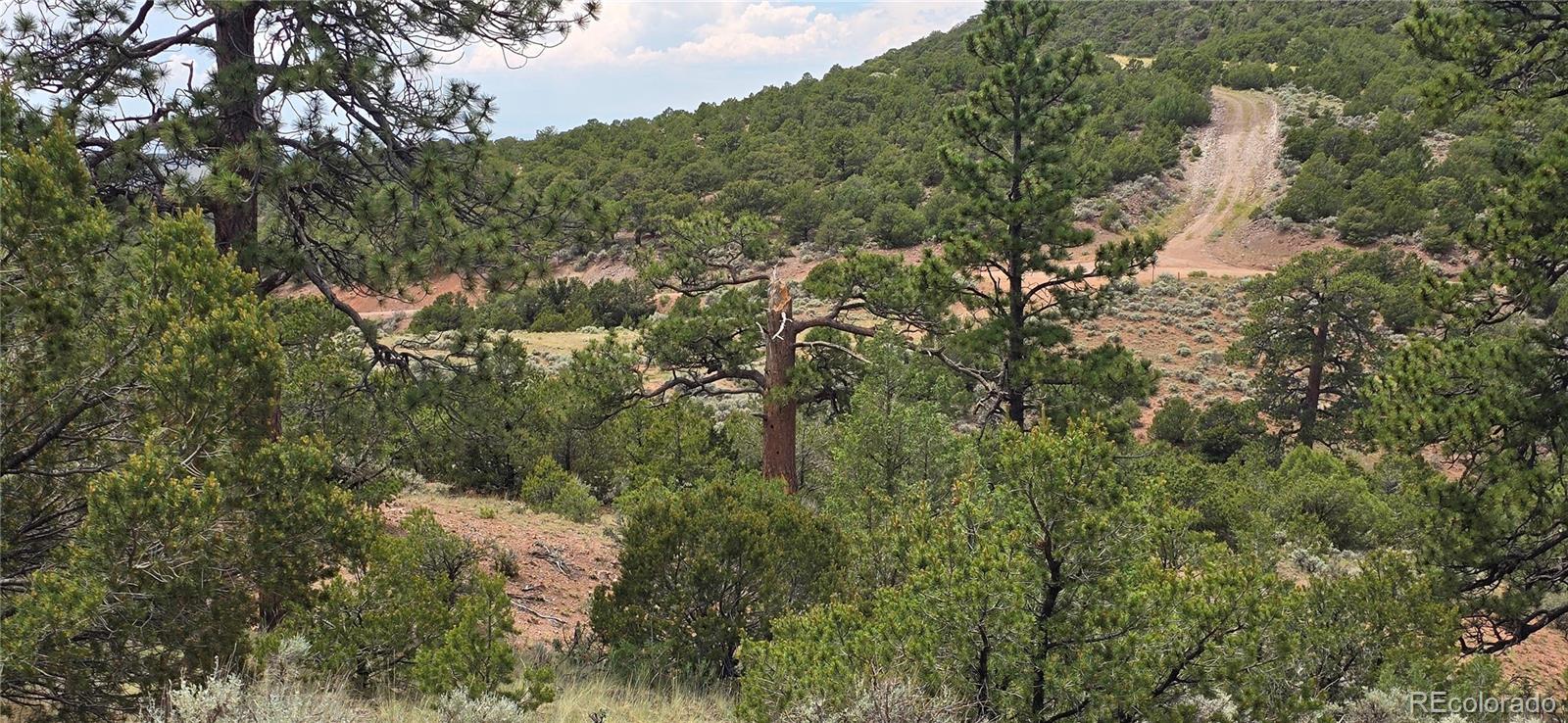 Lot 4401 Melcarth Road Fort Garland CO 81133