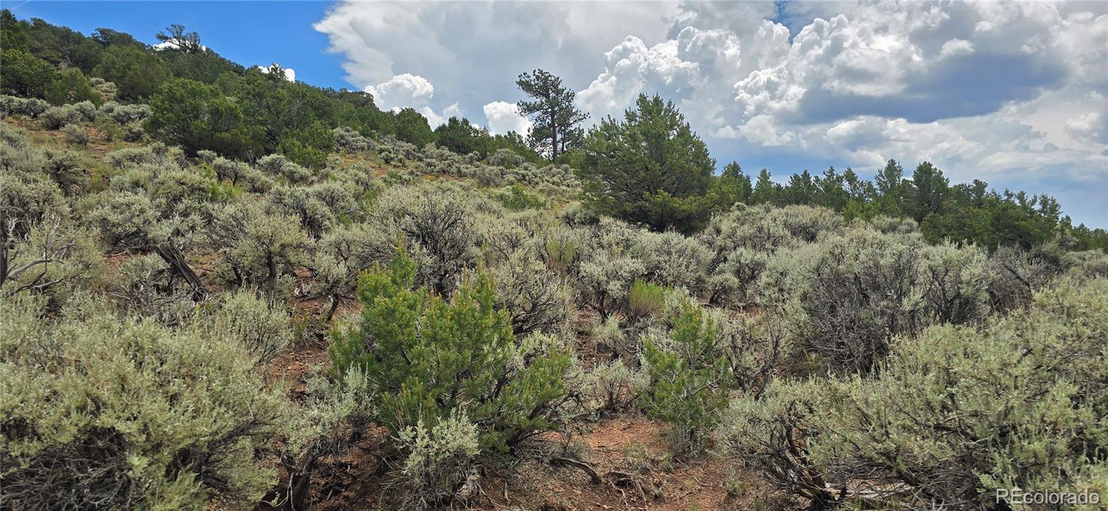 Lot 4401 Melcarth Road Fort Garland CO 81133