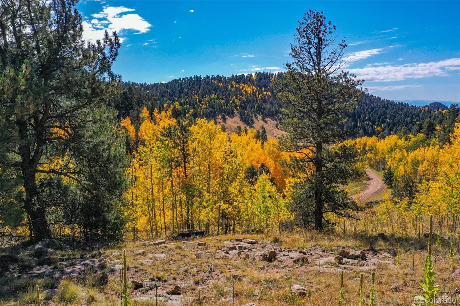 230 Penrose Circle Cripple Creek CO 80813