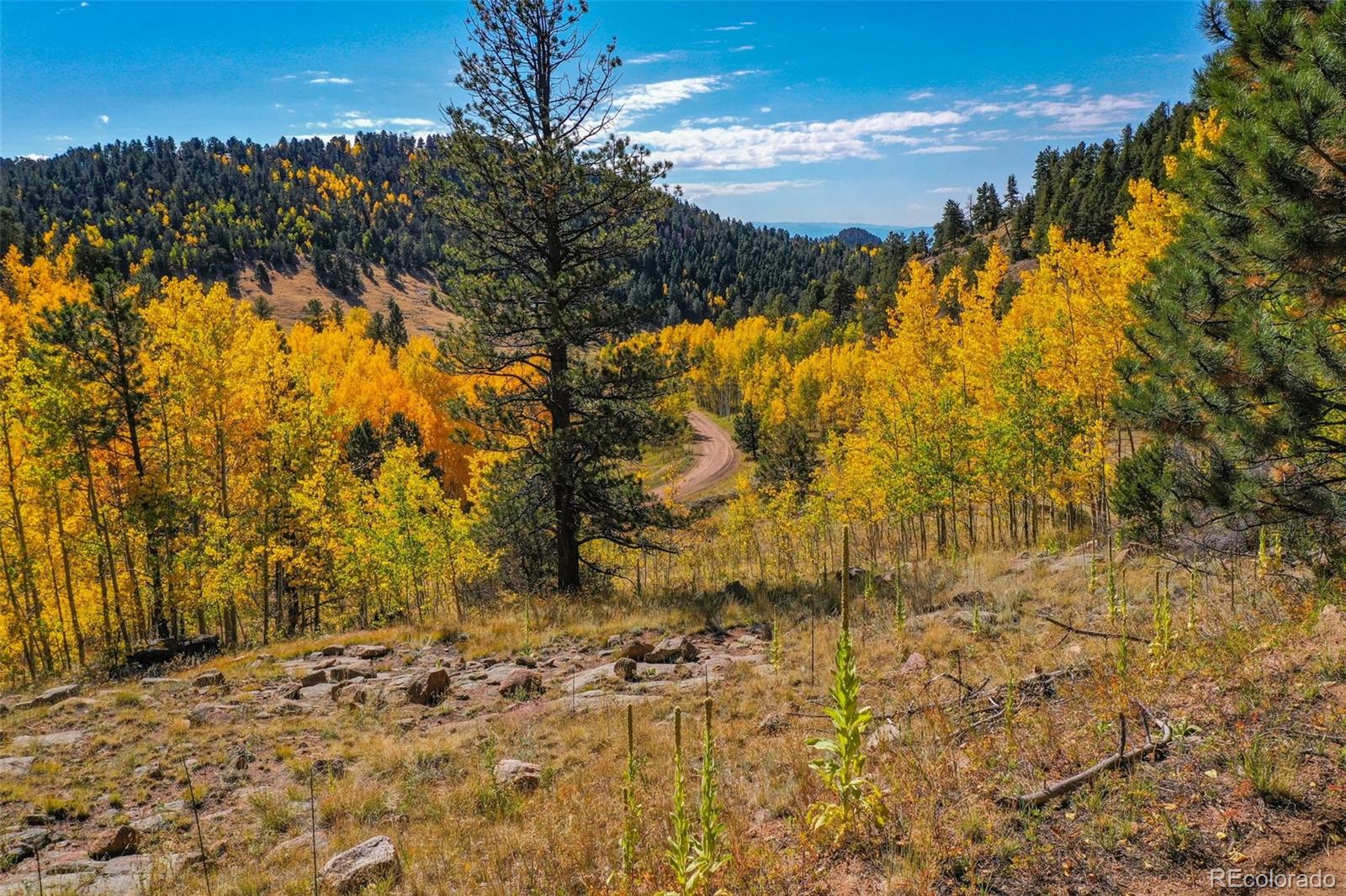 230 Penrose Circle Cripple Creek CO 80813
