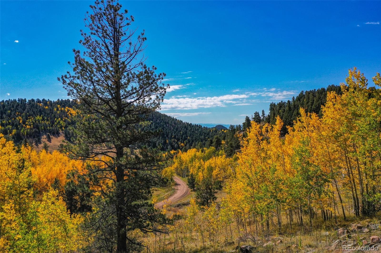 230 Penrose Circle Cripple Creek CO 80813