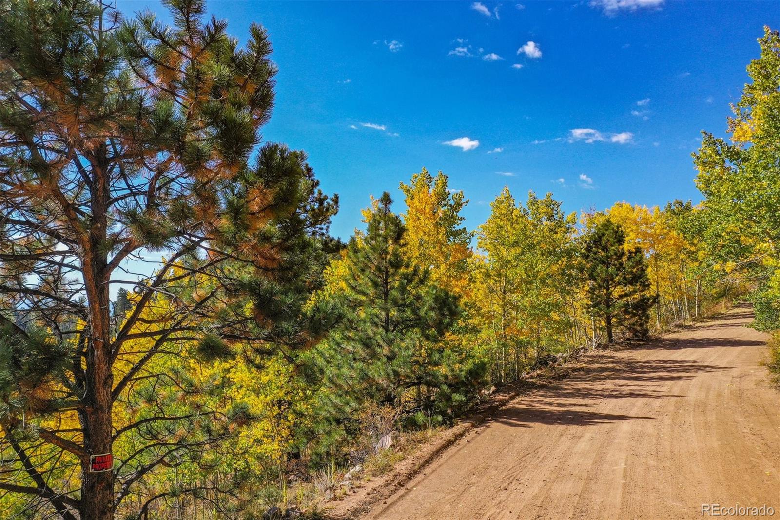 230 Penrose Circle Cripple Creek CO 80813
