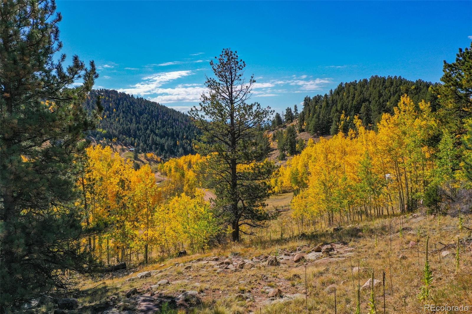 230 Penrose Circle Cripple Creek CO 80813