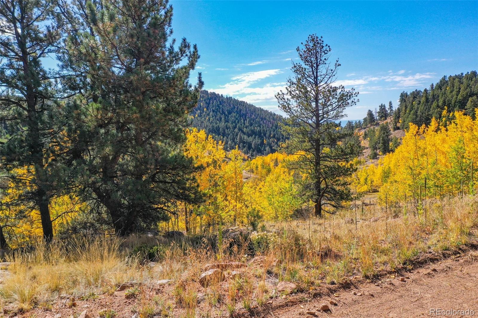 230 Penrose Circle Cripple Creek CO 80813