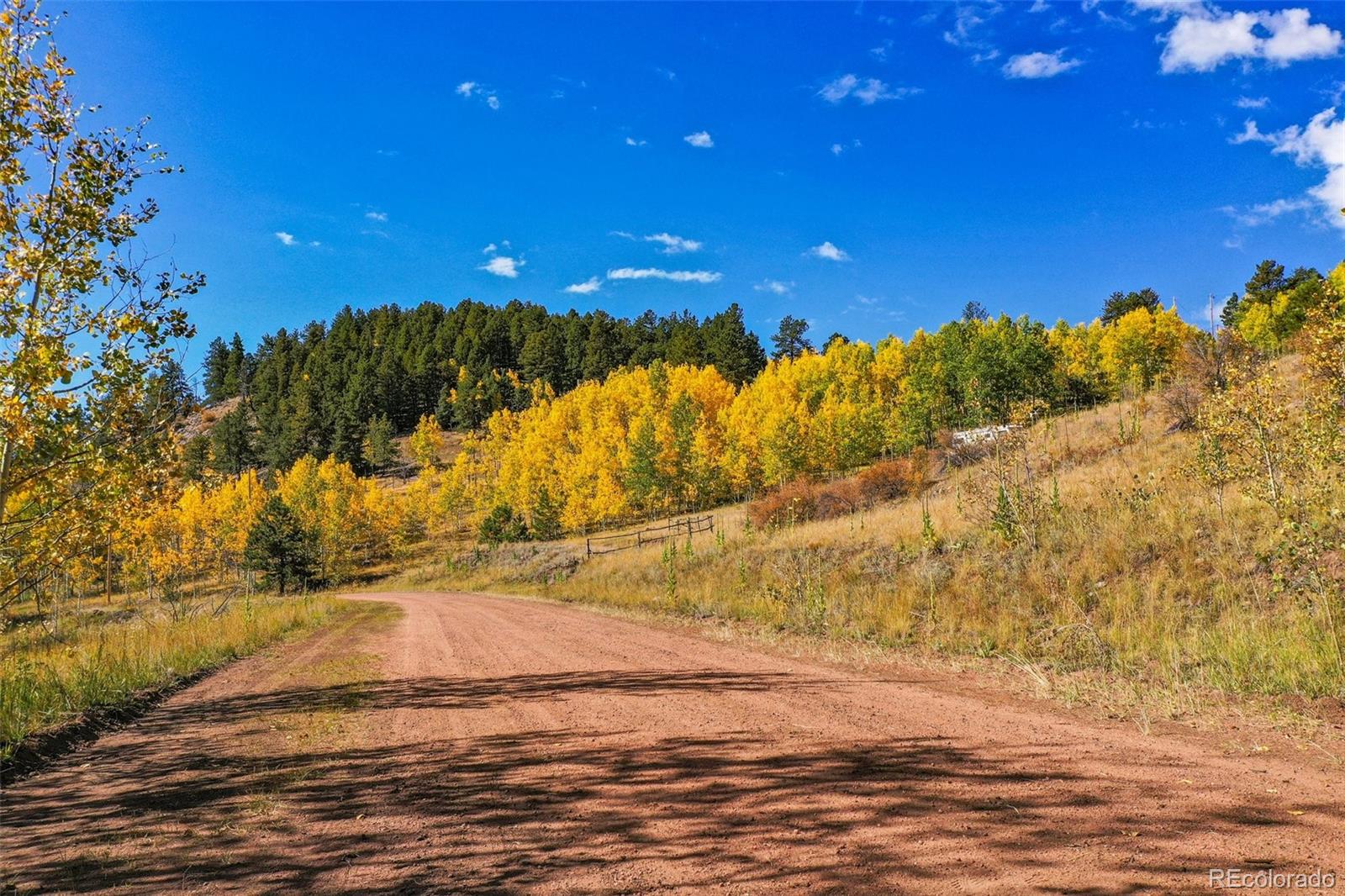 230 Penrose Circle Cripple Creek CO 80813