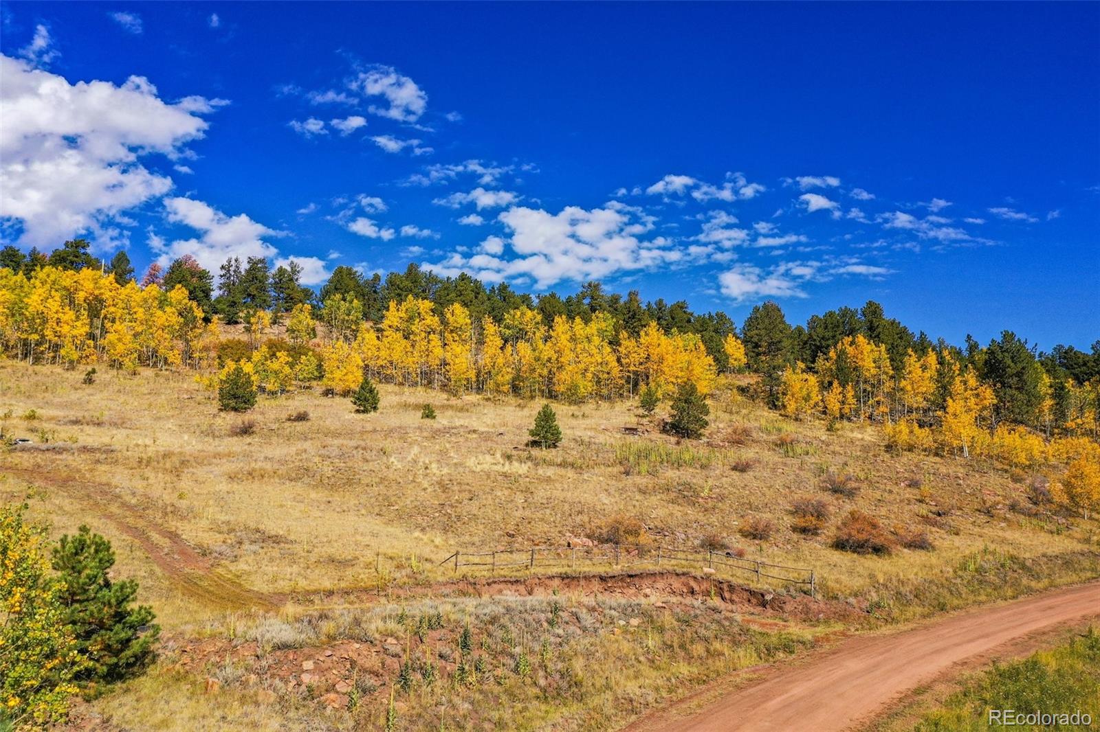 230 Penrose Circle Cripple Creek CO 80813