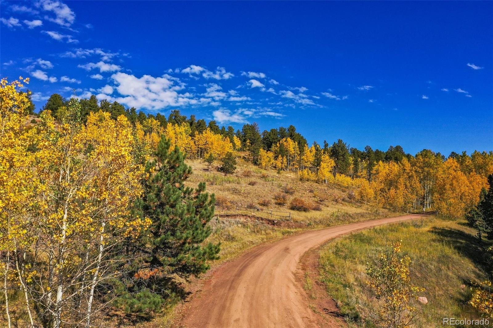 230 Penrose Circle Cripple Creek CO 80813