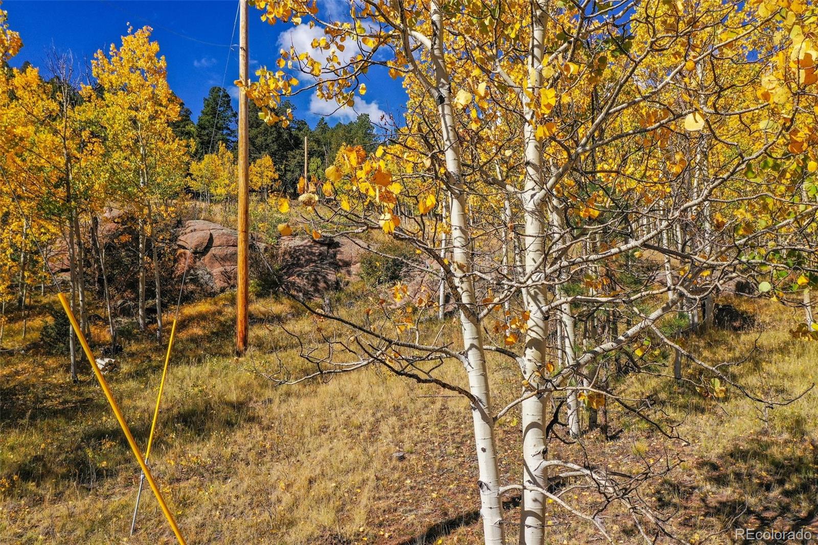 230 Penrose Circle Cripple Creek CO 80813