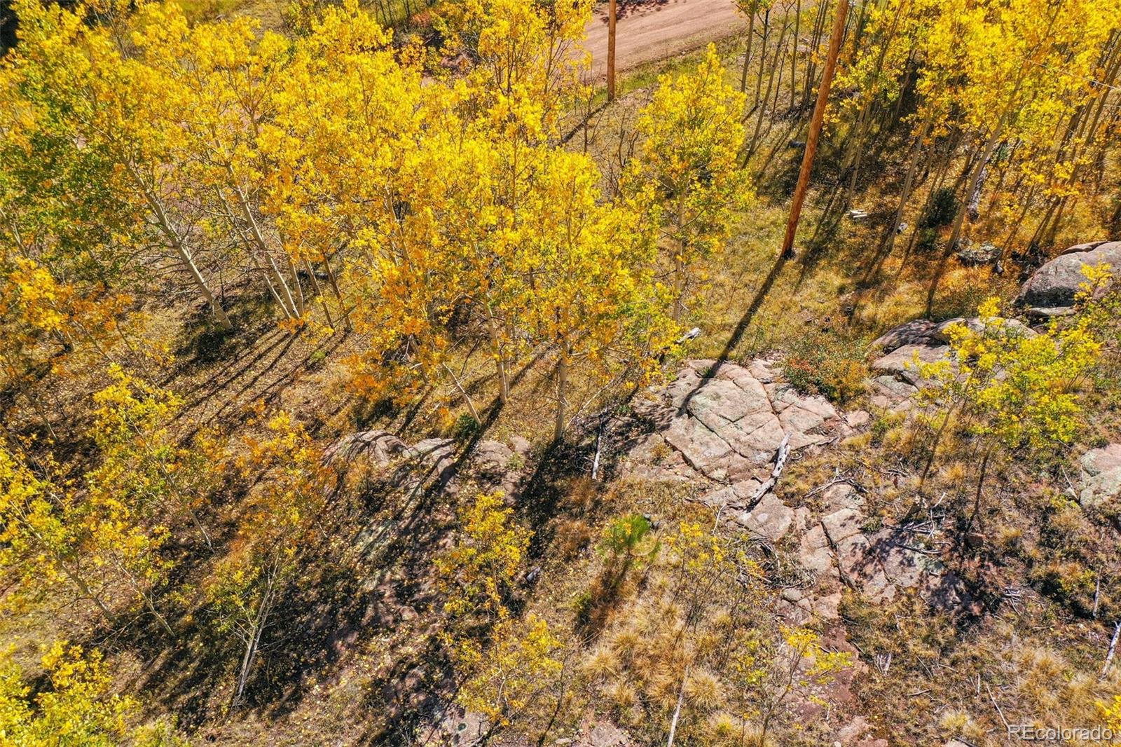 230 Penrose Circle Cripple Creek CO 80813