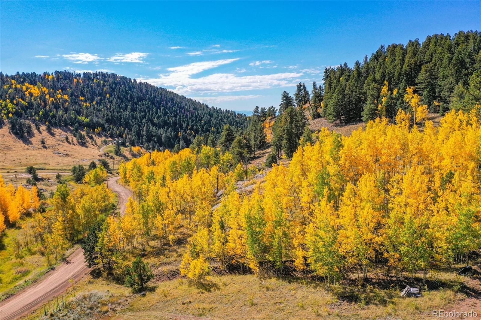 230 Penrose Circle Cripple Creek CO 80813