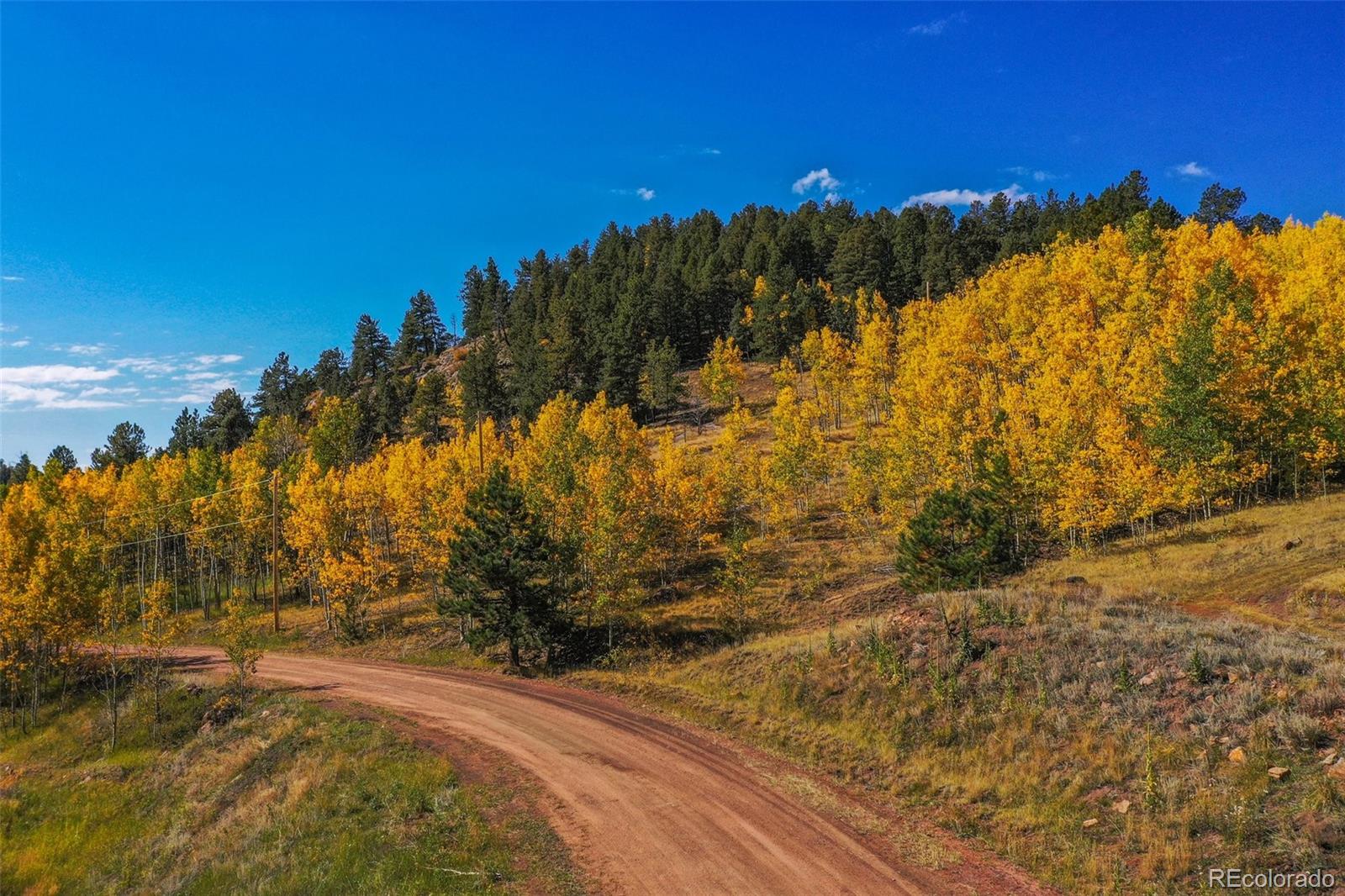 230 Penrose Circle Cripple Creek CO 80813
