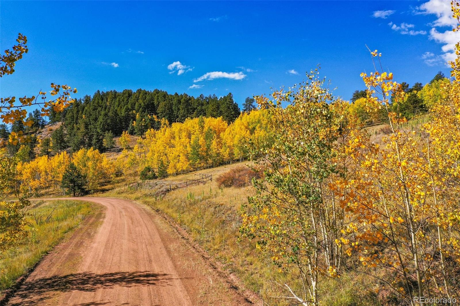 230 Penrose Circle Cripple Creek CO 80813