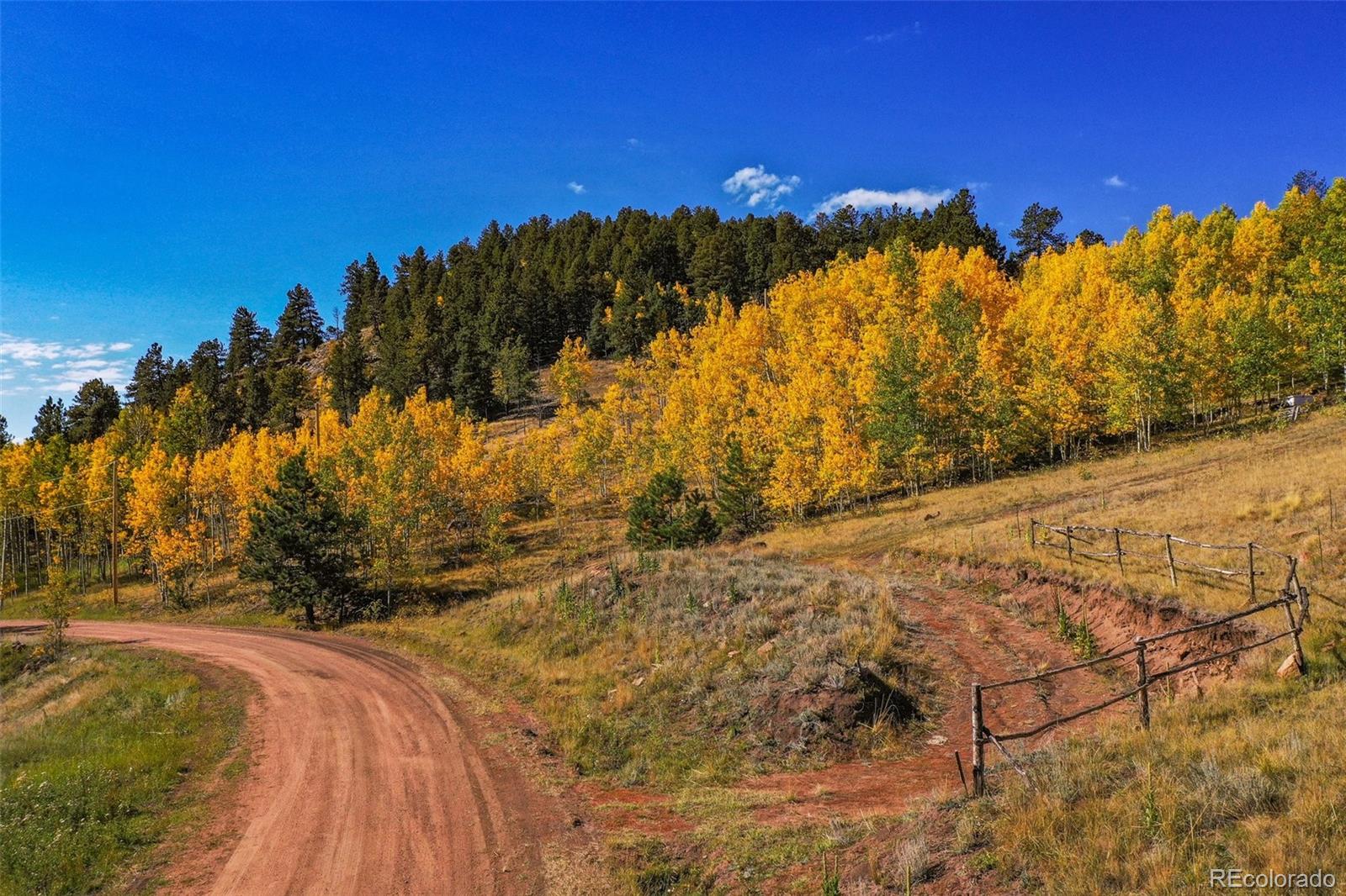 230 Penrose Circle Cripple Creek CO 80813