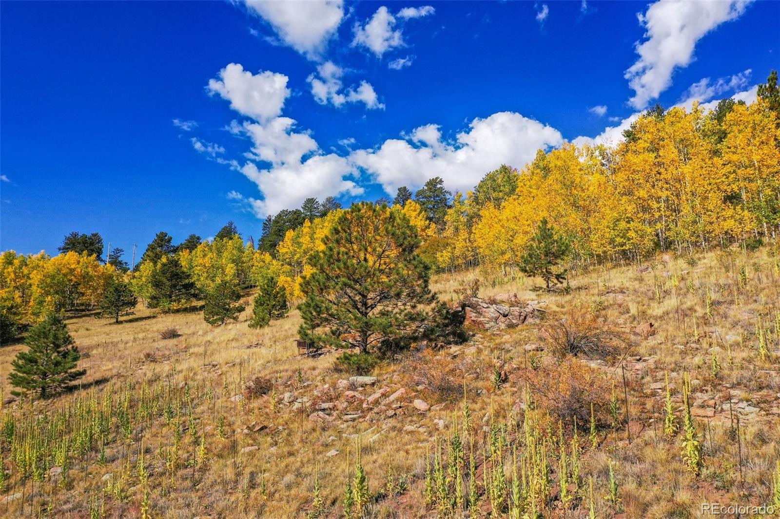 230 Penrose Circle Cripple Creek CO 80813