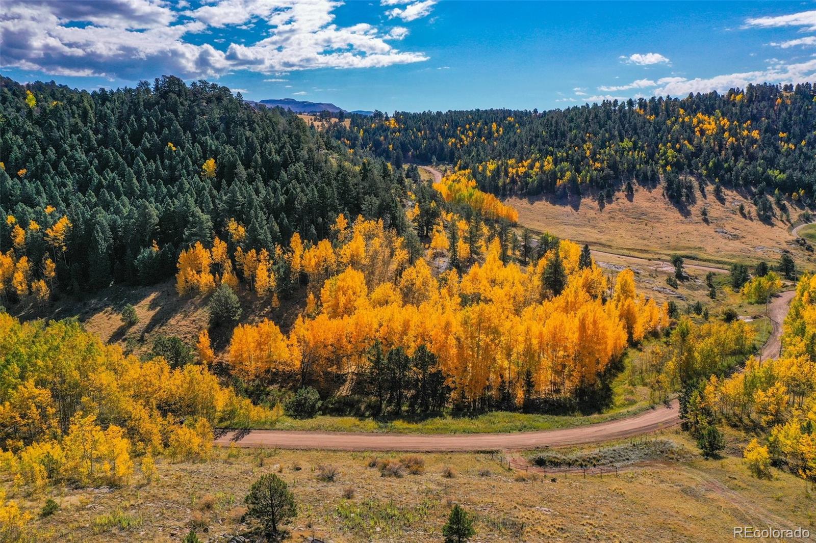 230 Penrose Circle Cripple Creek CO 80813