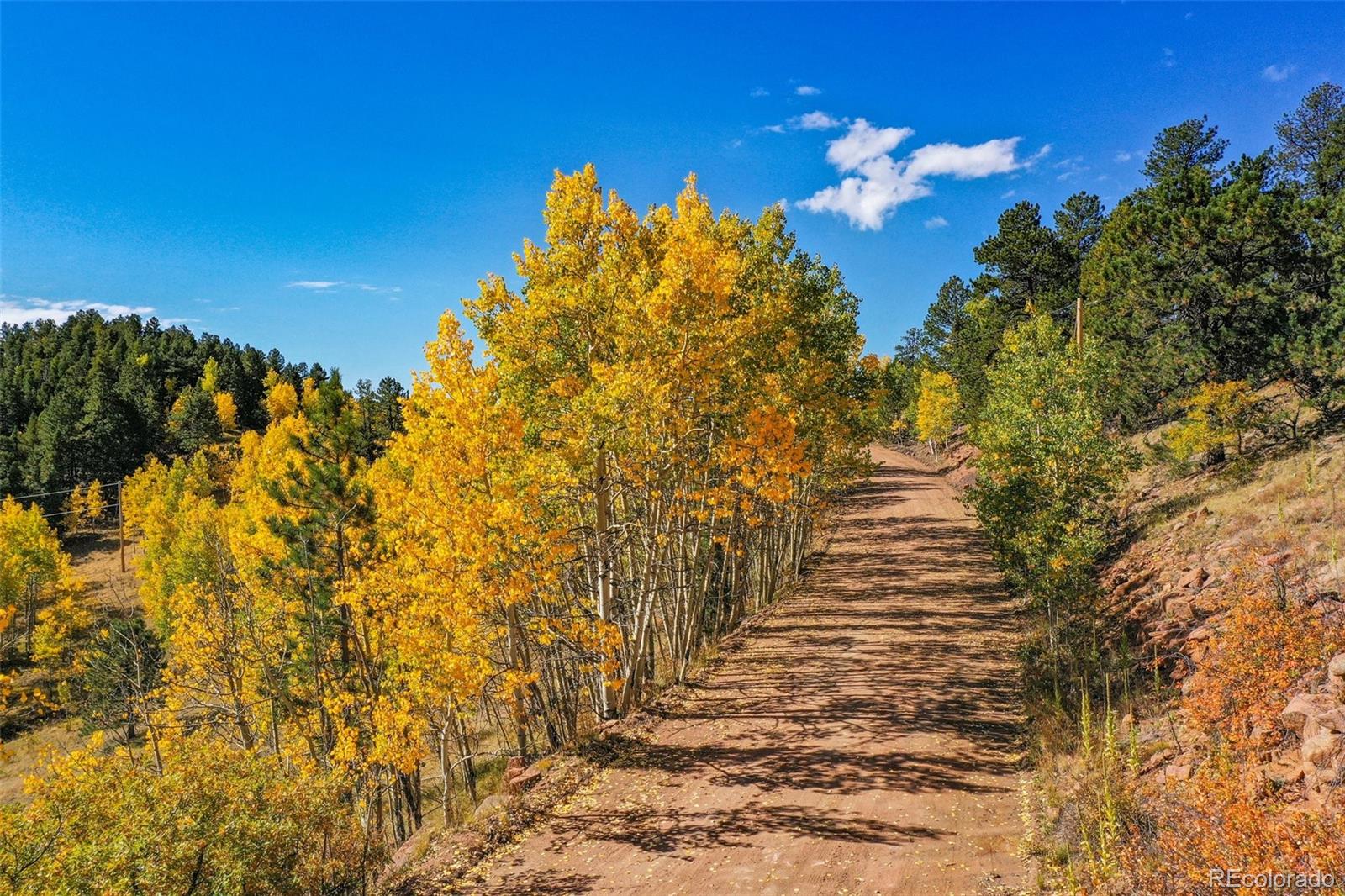 230 Penrose Circle Cripple Creek CO 80813