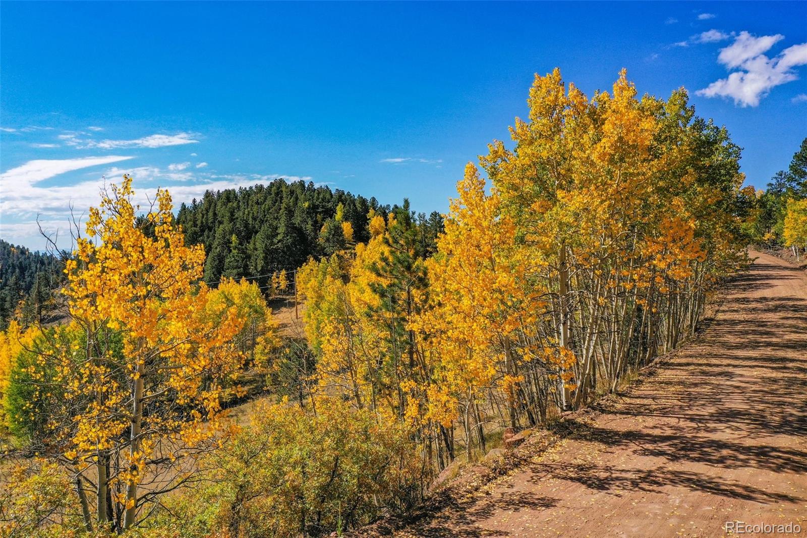 230 Penrose Circle Cripple Creek CO 80813