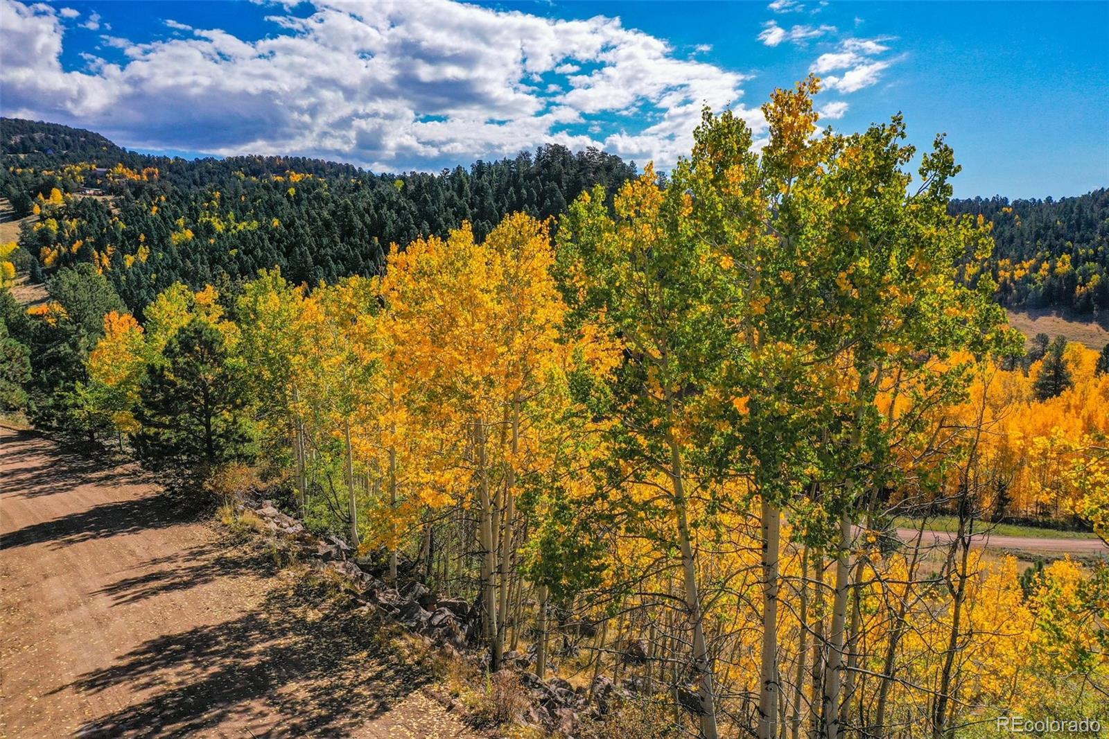 230 Penrose Circle Cripple Creek CO 80813