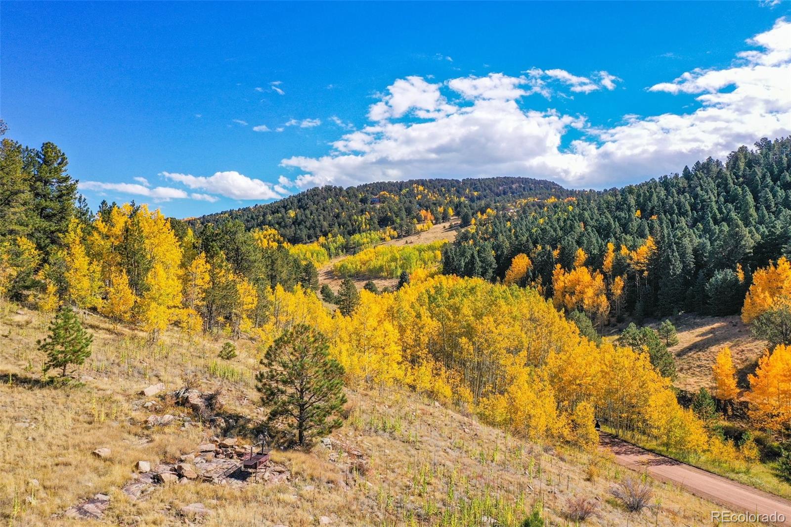 230 Penrose Circle Cripple Creek CO 80813