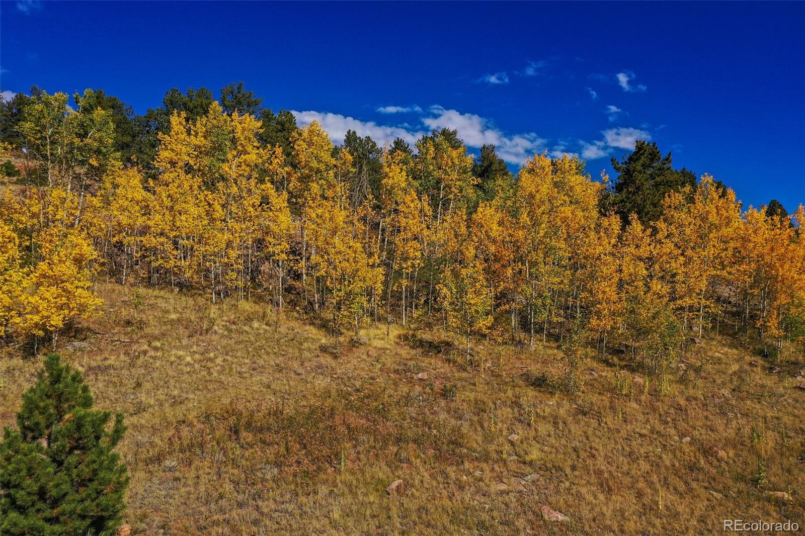 230 Penrose Circle Cripple Creek CO 80813