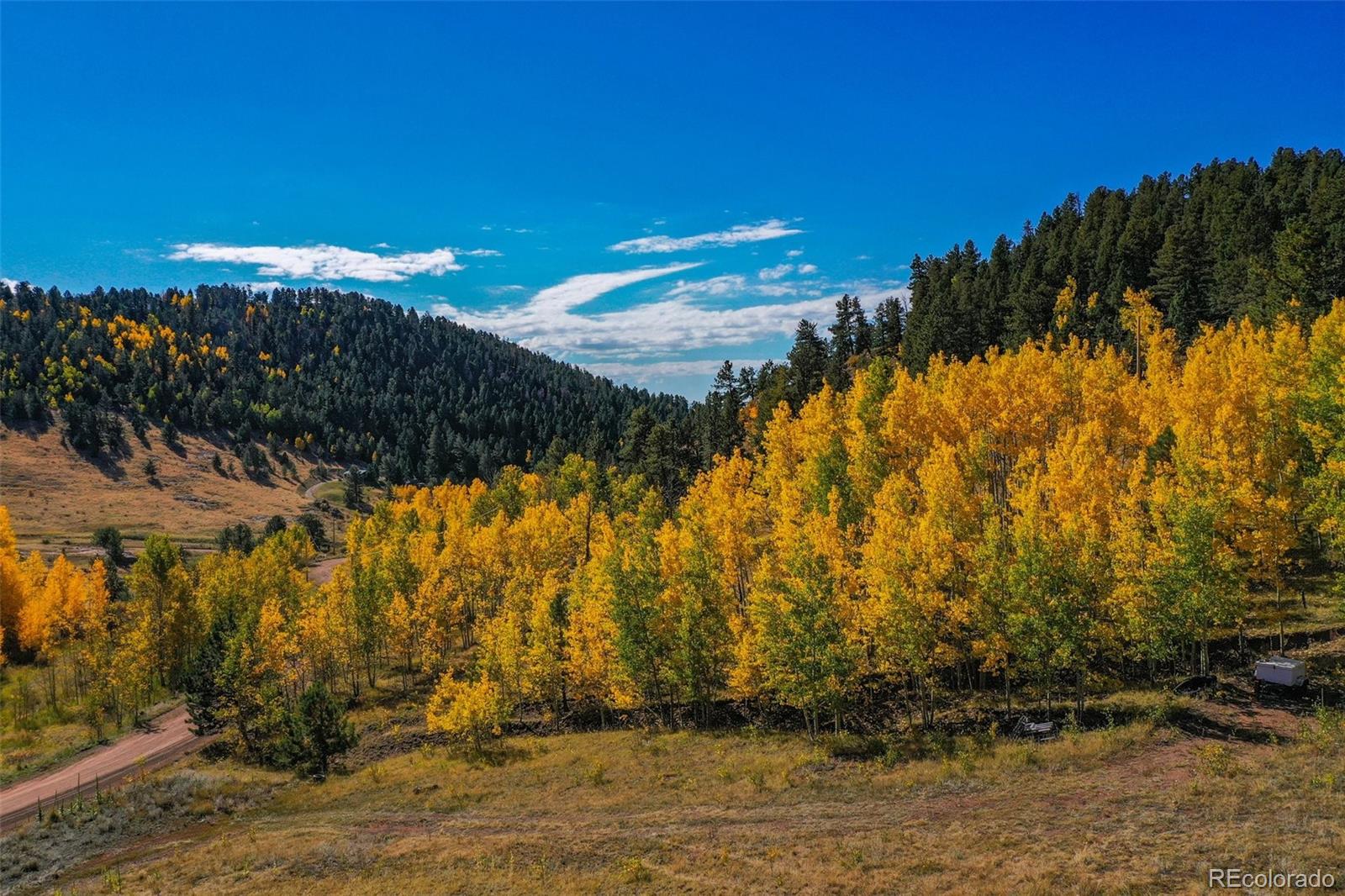 230 Penrose Circle Cripple Creek CO 80813