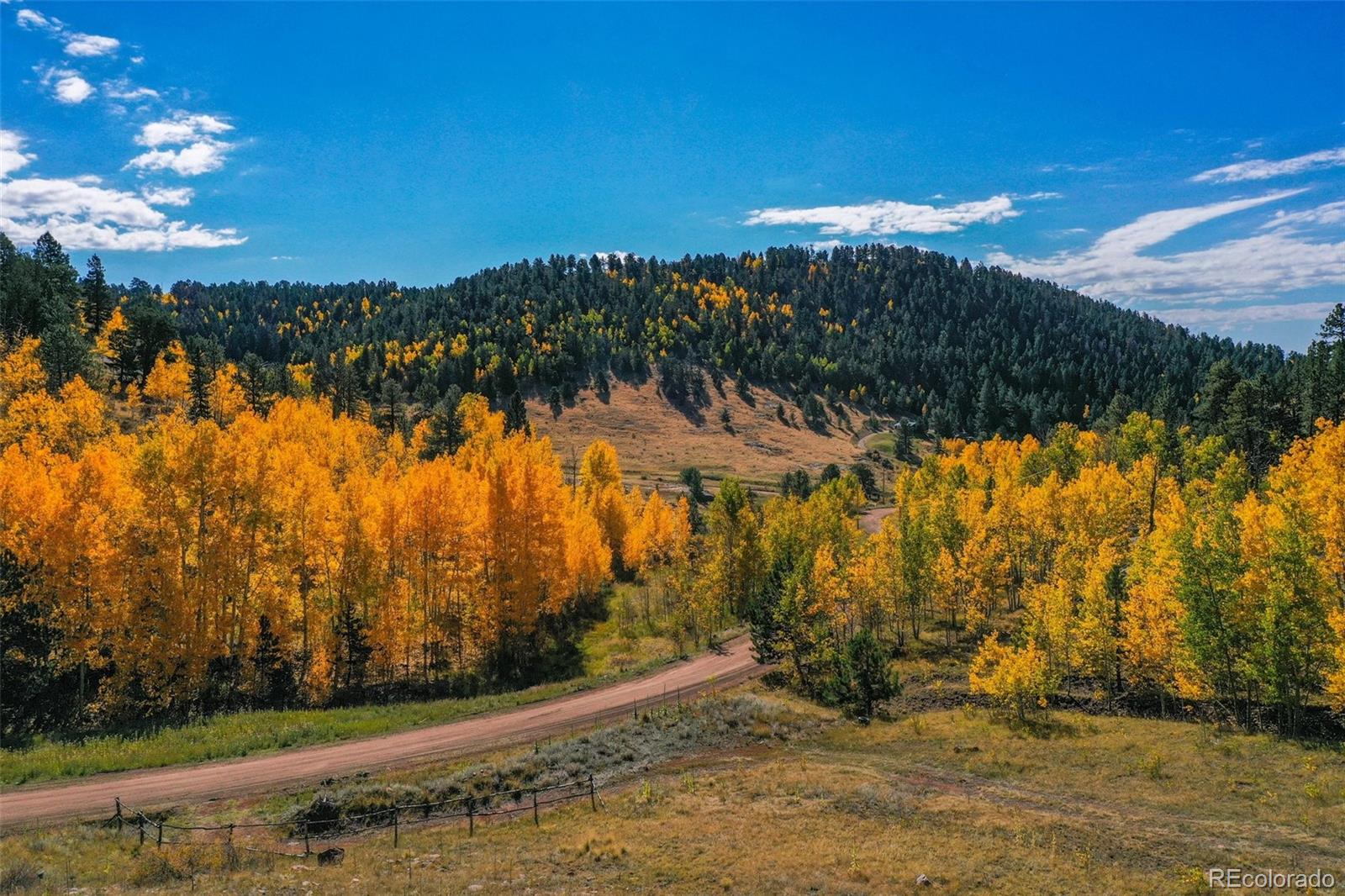 230 Penrose Circle Cripple Creek CO 80813