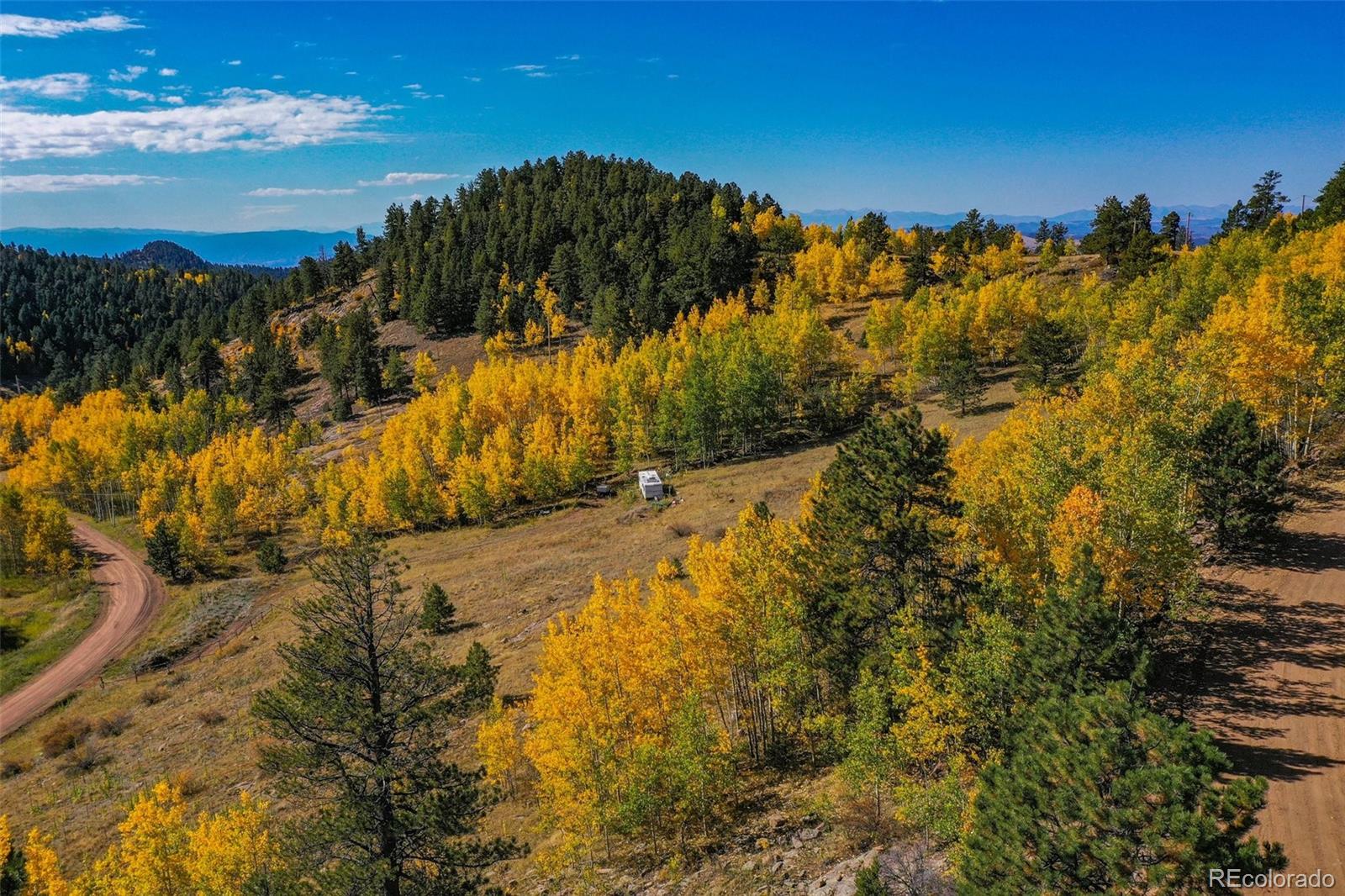 230 Penrose Circle Cripple Creek CO 80813