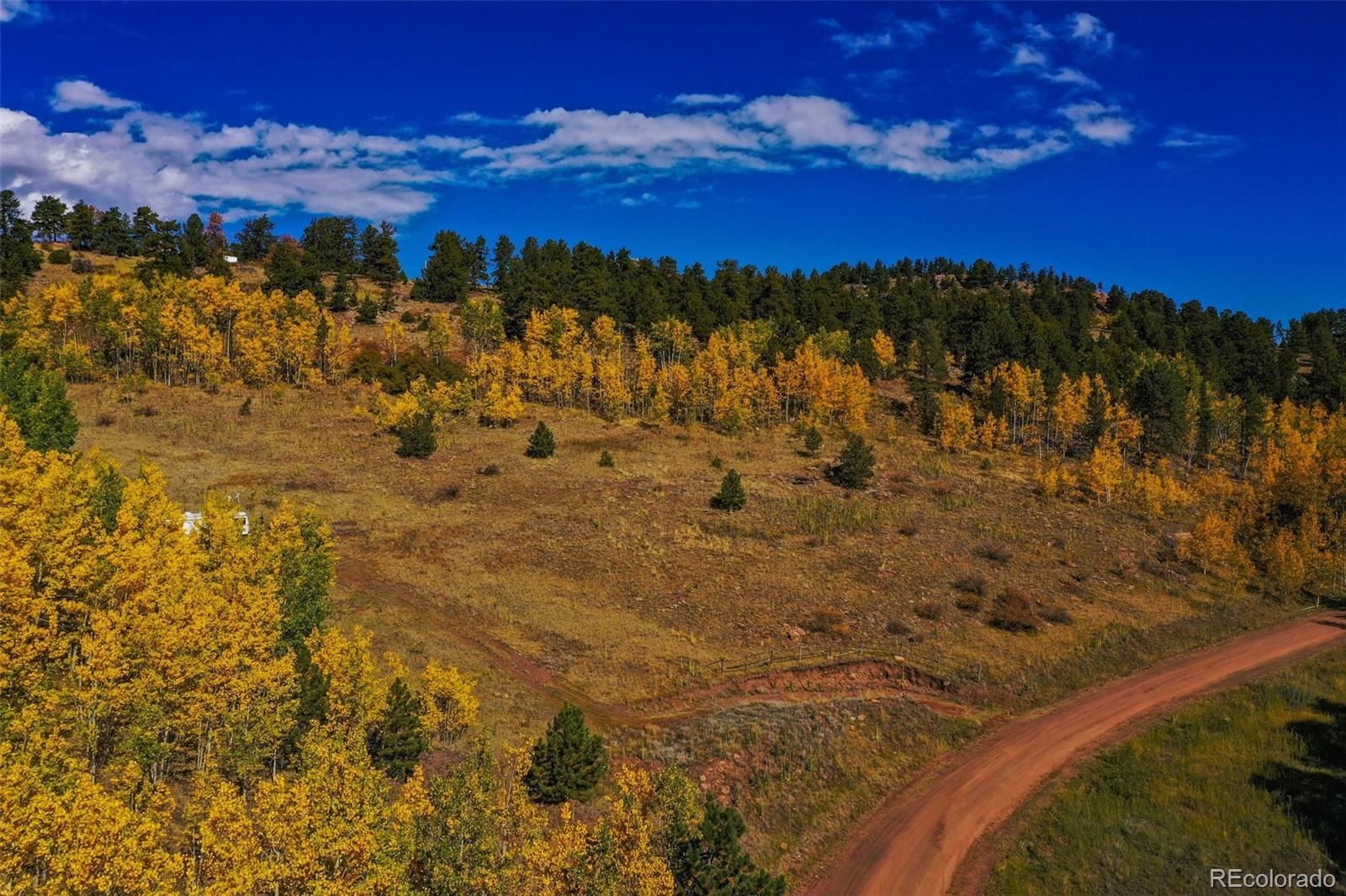 230 Penrose Circle Cripple Creek CO 80813