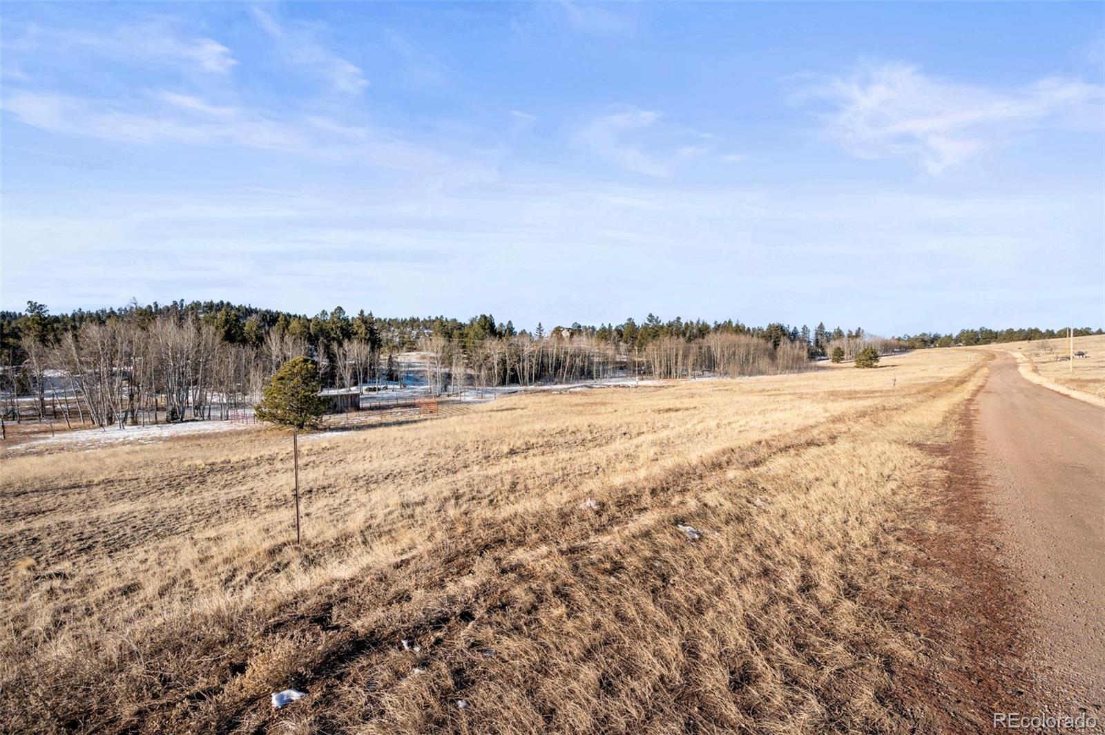 546 Alpine Meadows Lane Florissant CO 80816
