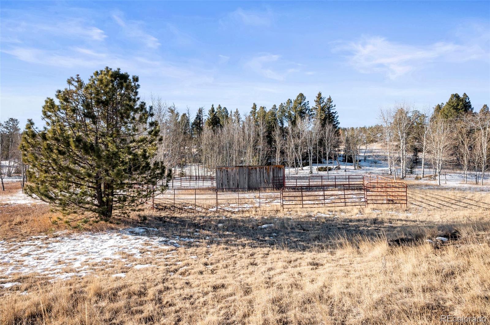546 Alpine Meadows Lane Florissant CO 80816